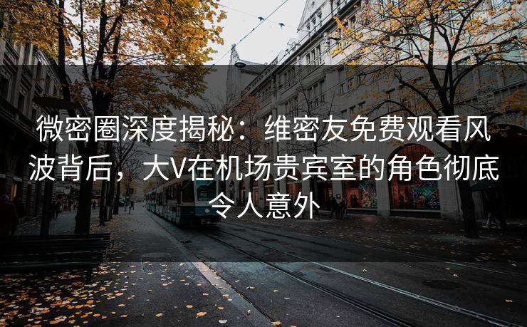 微密圈深度揭秘：维密友免费观看风波背后，大V在机场贵宾室的角色彻底令人意外