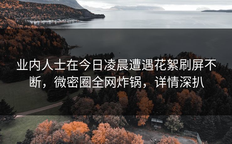 业内人士在今日凌晨遭遇花絮刷屏不断，微密圈全网炸锅，详情深扒