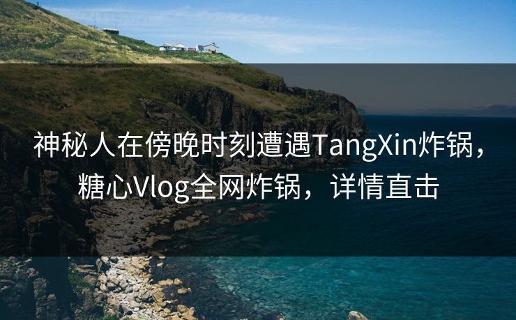 神秘人在傍晚时刻遭遇TangXin炸锅，糖心Vlog全网炸锅，详情直击